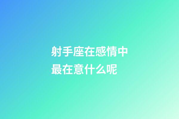 射手座在感情中最在意什么呢-第1張-星座運勢-玄機派