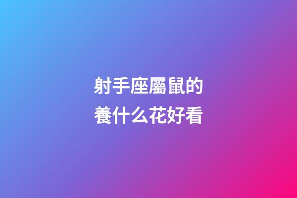 射手座屬鼠的養什么花好看