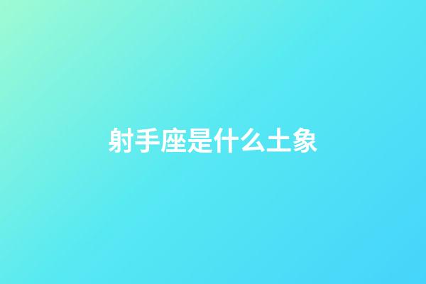 射手座是什么土象-第1張-星座運勢-玄機派