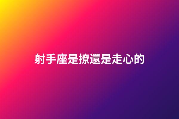 射手座是撩還是走心的