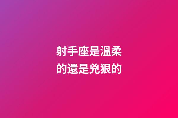 射手座是溫柔的還是兇狠的-第1張-星座運勢-玄機派
