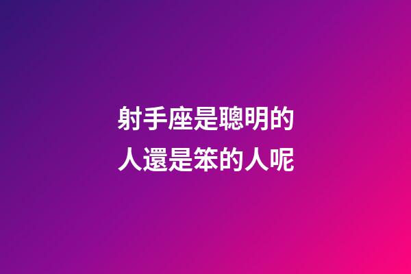 射手座是聰明的人還是笨的人呢-第1張-星座運(yùn)勢(shì)-玄機(jī)派