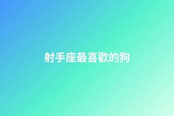 射手座最喜歡的狗-第1張-星座運勢-玄機派
