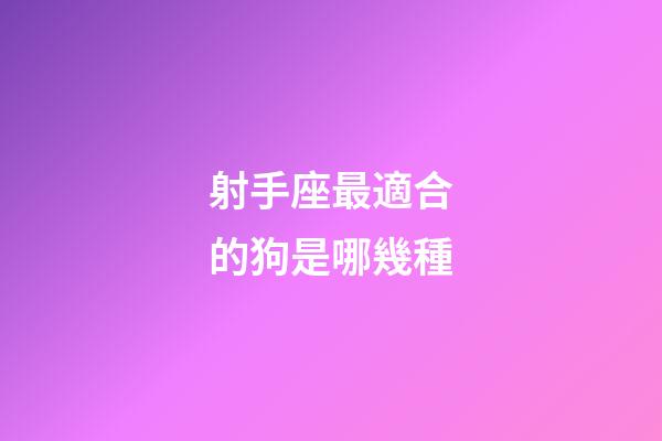 射手座最適合的狗是哪幾種-第1張-星座運勢-玄機派