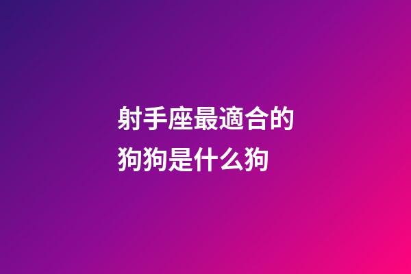 射手座最適合的狗狗是什么狗-第1張-星座運(yùn)勢(shì)-玄機(jī)派
