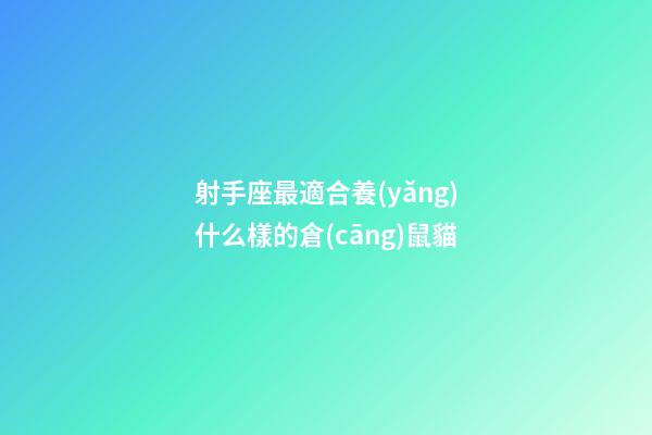 射手座最適合養(yǎng)什么樣的倉(cāng)鼠貓