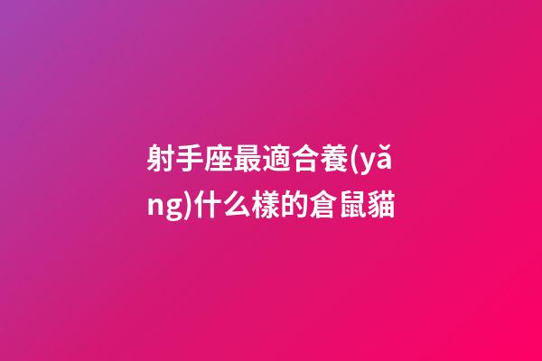射手座最適合養(yǎng)什么樣的倉鼠貓