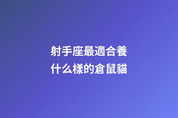 射手座最適合養什么樣的倉鼠貓-第1張-星座運勢-玄機派