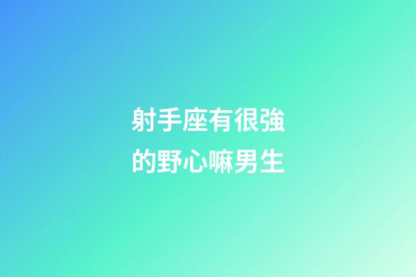 射手座有很強的野心嘛男生-第1張-星座運勢-玄機派