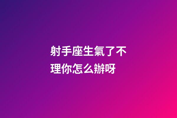 射手座生氣了不理你怎么辦呀-第1張-星座運勢-玄機派