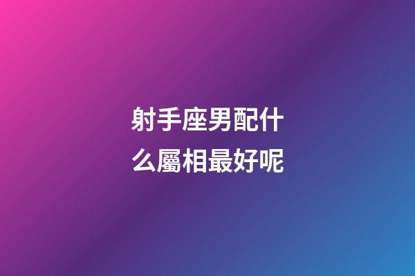 射手座男配什么屬相最好呢-第1張-星座運勢-玄機派