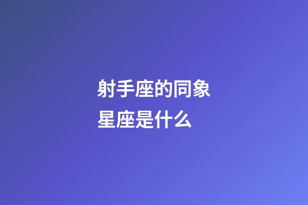 射手座的同象星座是什么-第1張-星座運(yùn)勢-玄機(jī)派
