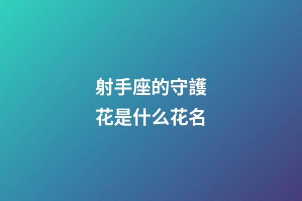 射手座的守護花是什么花名-第1張-星座運勢-玄機派