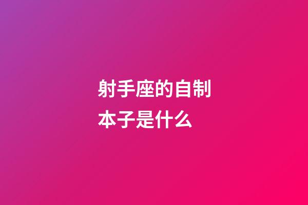 射手座的自制本子是什么-第1張-星座運勢-玄機派