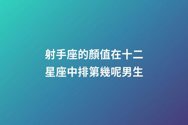 射手座的顏值在十二星座中排第幾呢男生-第1張-星座運勢-玄機派