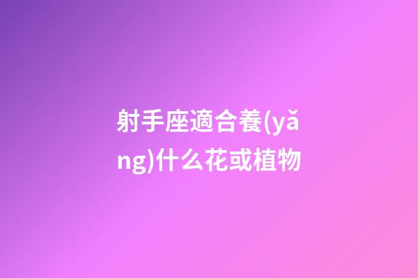 射手座適合養(yǎng)什么花或植物