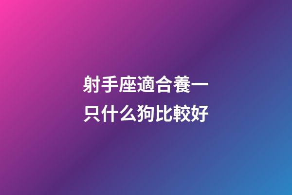 射手座適合養一只什么狗比較好-第1張-星座運勢-玄機派