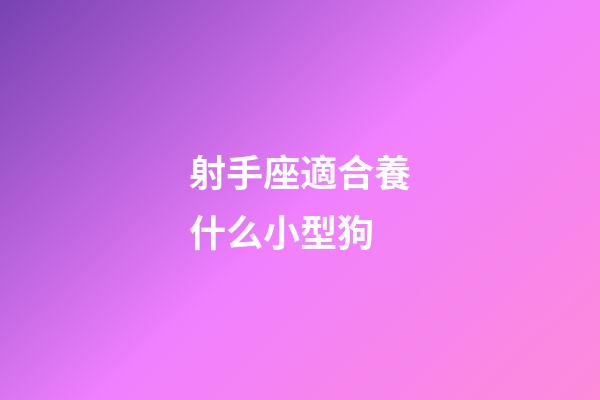 射手座適合養什么小型狗-第1張-星座運勢-玄機派