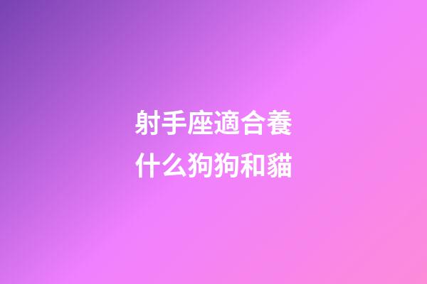 射手座適合養什么狗狗和貓-第1張-星座運勢-玄機派
