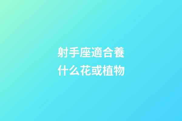 射手座適合養什么花或植物-第1張-星座運勢-玄機派