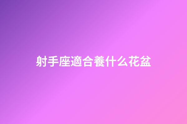 射手座適合養什么花盆