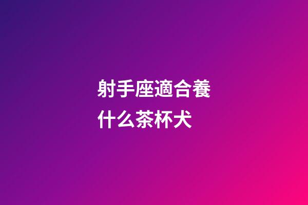 射手座適合養什么茶杯犬-第1張-星座運勢-玄機派