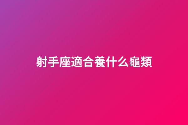 射手座適合養什么龜類-第1張-星座運勢-玄機派