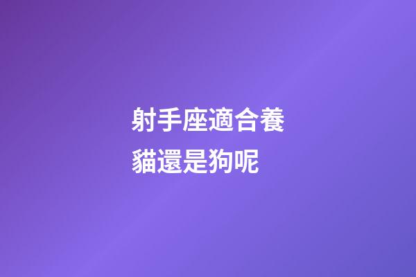 射手座適合養貓還是狗呢-第1張-星座運勢-玄機派