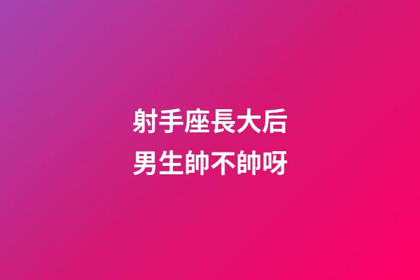射手座長大后男生帥不帥呀-第1張-星座運勢-玄機派