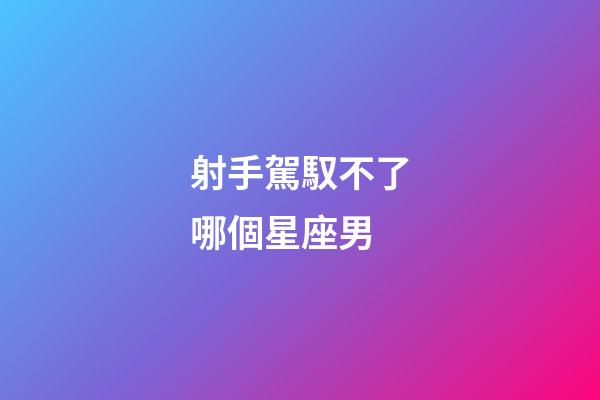 射手駕馭不了哪個星座男-第1張-星座運勢-玄機派