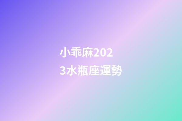 小乖麻2023水瓶座運勢-第1張-星座運勢-玄機派
