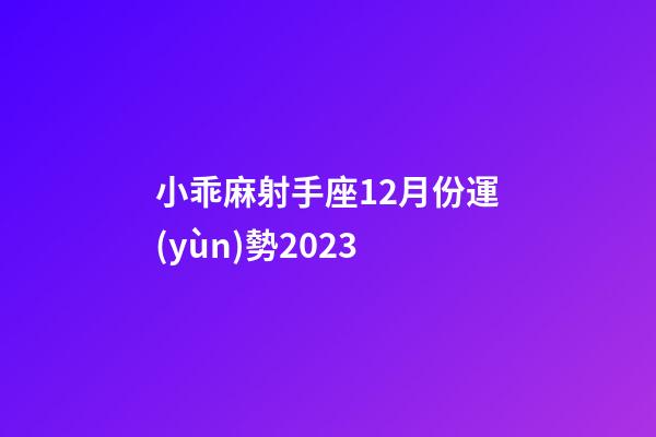 小乖麻射手座12月份運(yùn)勢2023-第1張-星座運(yùn)勢-玄機(jī)派