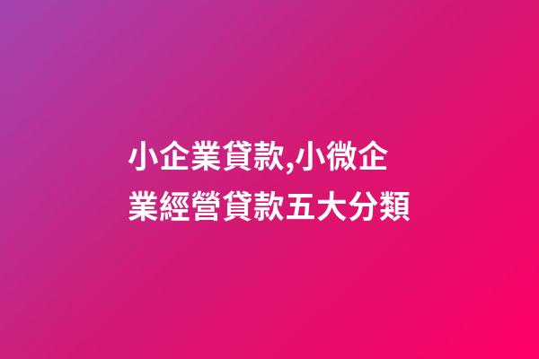 小企業貸款,小微企業經營貸款五大分類-第1張-觀點-玄機派