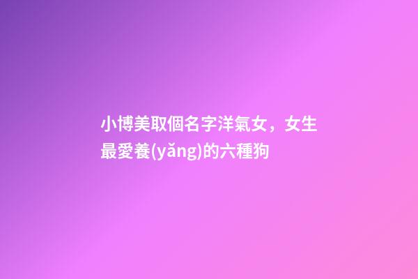 小博美取個名字洋氣女，女生最愛養(yǎng)的六種狗