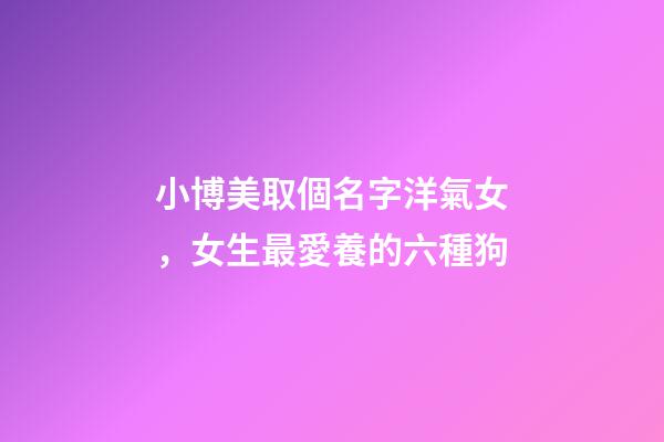 小博美取個名字洋氣女，女生最愛養的六種狗-第1張-觀點-玄機派