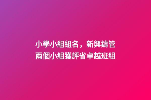 小學小組組名，新興鑄管兩個小組獲評省卓越班組-第1張-觀點-玄機派