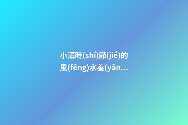 小滿時(shí)節(jié)的風(fēng)水養(yǎng)生