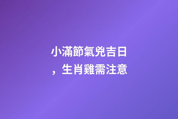 小滿節氣兇吉日，生肖雞需注意