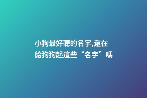小狗最好聽的名字,還在給狗狗起這些“名字”嗎-第1張-觀點(diǎn)-玄機(jī)派