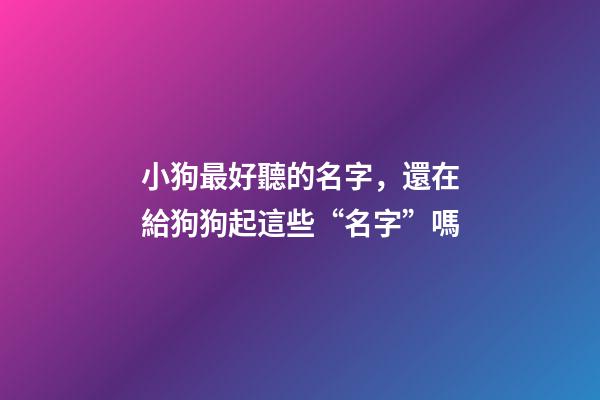 小狗最好聽的名字，還在給狗狗起這些“名字”嗎-第1張-觀點(diǎn)-玄機(jī)派