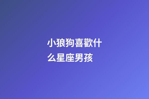 小狼狗喜歡什么星座男孩
