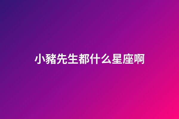 小豬先生都什么星座啊