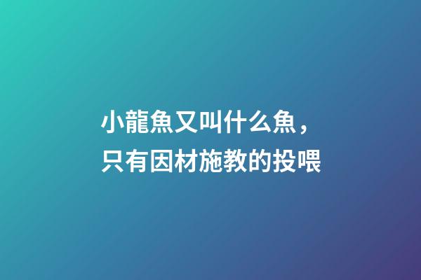 小龍魚又叫什么魚，只有因材施教的投喂-第1張-觀點-玄機派