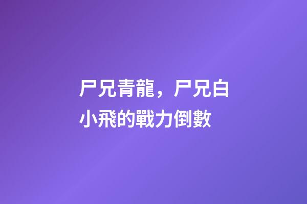 尸兄青龍，尸兄白小飛的戰力倒數-第1張-觀點-玄機派