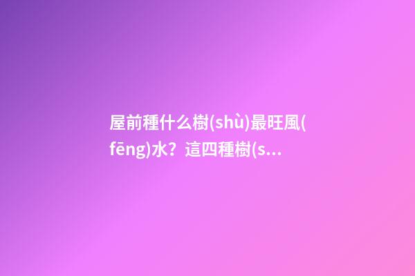 屋前種什么樹(shù)最旺風(fēng)水？這四種樹(shù)旺人旺財(cái)