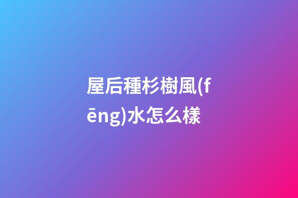 屋后種杉樹風(fēng)水怎么樣