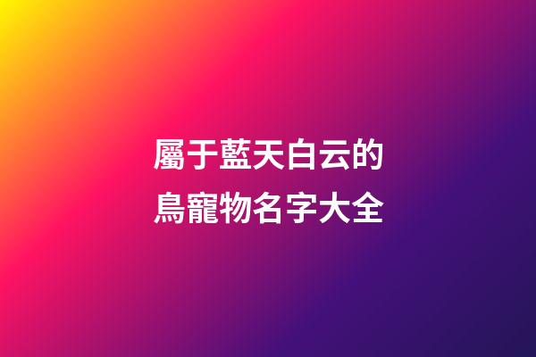 屬于藍天白云的鳥寵物名字大全