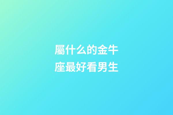 屬什么的金牛座最好看男生-第1張-星座運(yùn)勢-玄機(jī)派