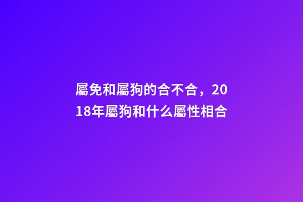 屬免和屬狗的合不合，2018年屬狗和什么屬性相合-第1張-觀點-玄機派