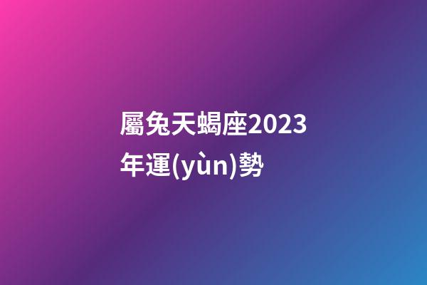 屬兔天蝎座2023年運(yùn)勢